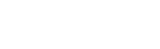 SustainWise Strategies